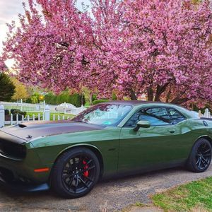 Meet your Posher, Seth